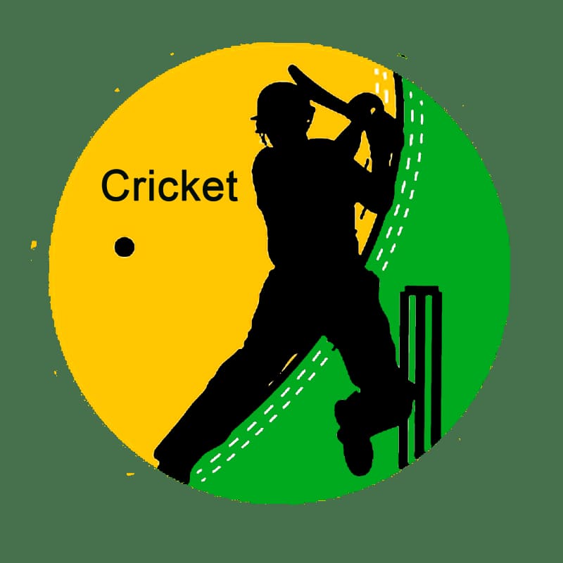 ক্রিকেট অ্যাকশন